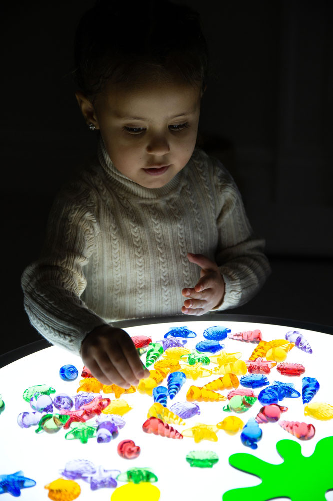 Caurspīdīgie taktilie gliemežvāki - Image 3