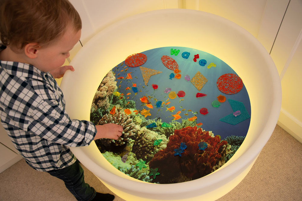 Caurspīdīgie taktilie gliemežvāki - Image 4