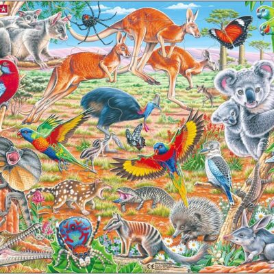 Austrālijas dzīvnieki