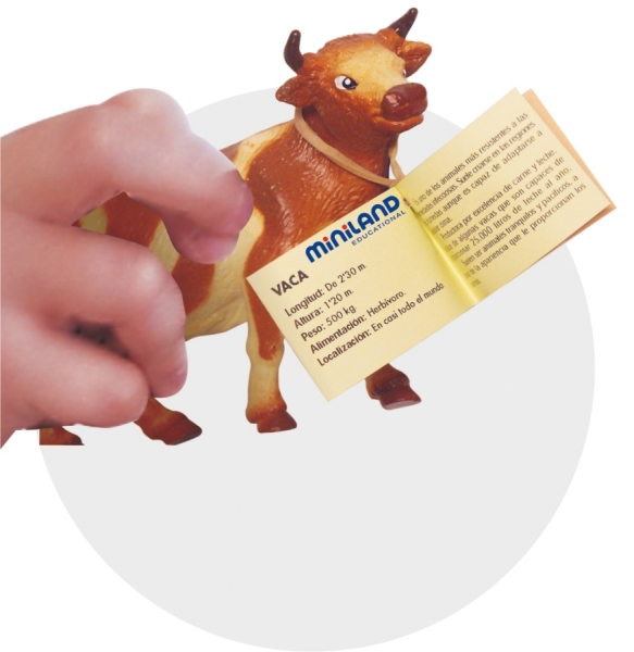 Mājdzīvnieki un to mazuļi - komplekts - Image 3